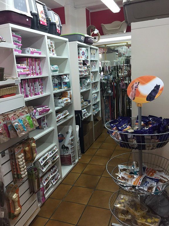 Espace de vente : accessoires et friandises pour chiens et chats
