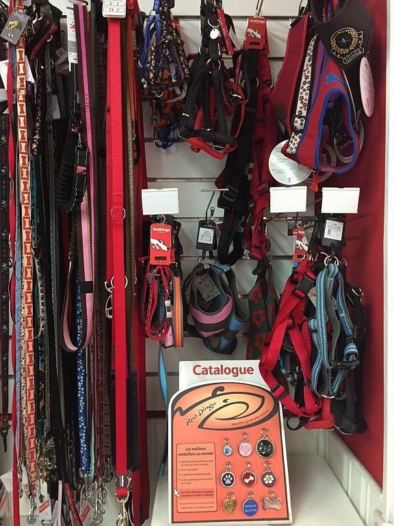 Colliers et laisses (Red Dingo, Curli, Bobby, etc.)