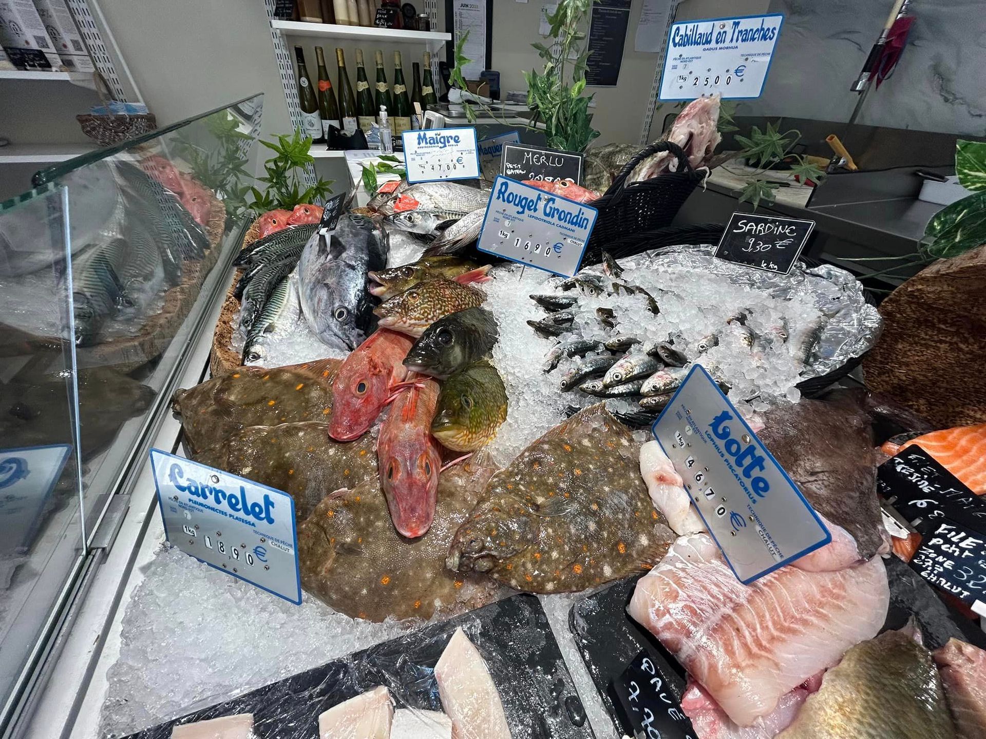 Banc de poissons frais