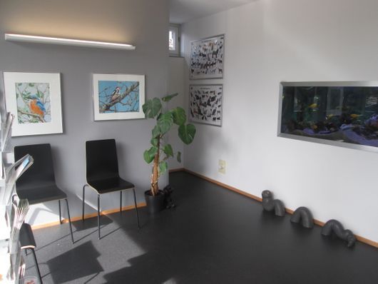 Wartezimmer - Kleintierpraxis Dr. med. vet. Ana Braun