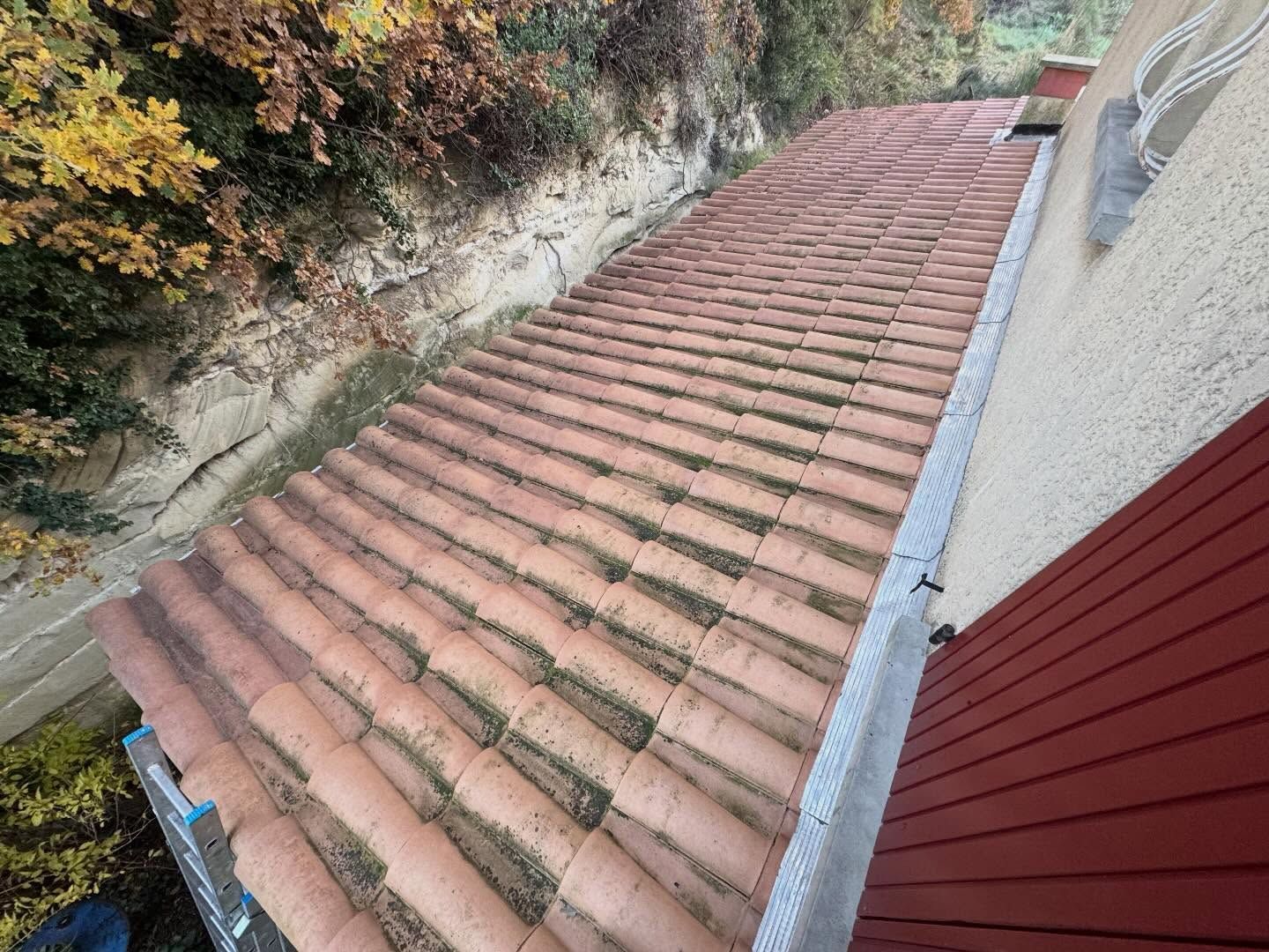Toit de tuiles brunes, composé de deux pans se rejoignant au faîte, entouré de feuillage vert.