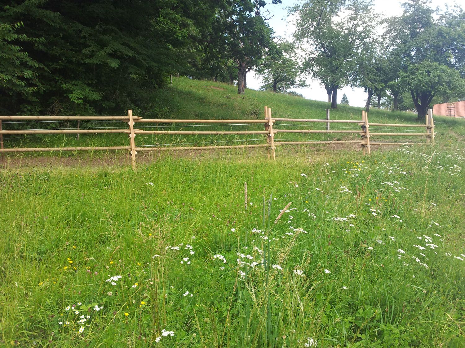 Gartenzaun - Wüthrich Gartenbau in Hausen