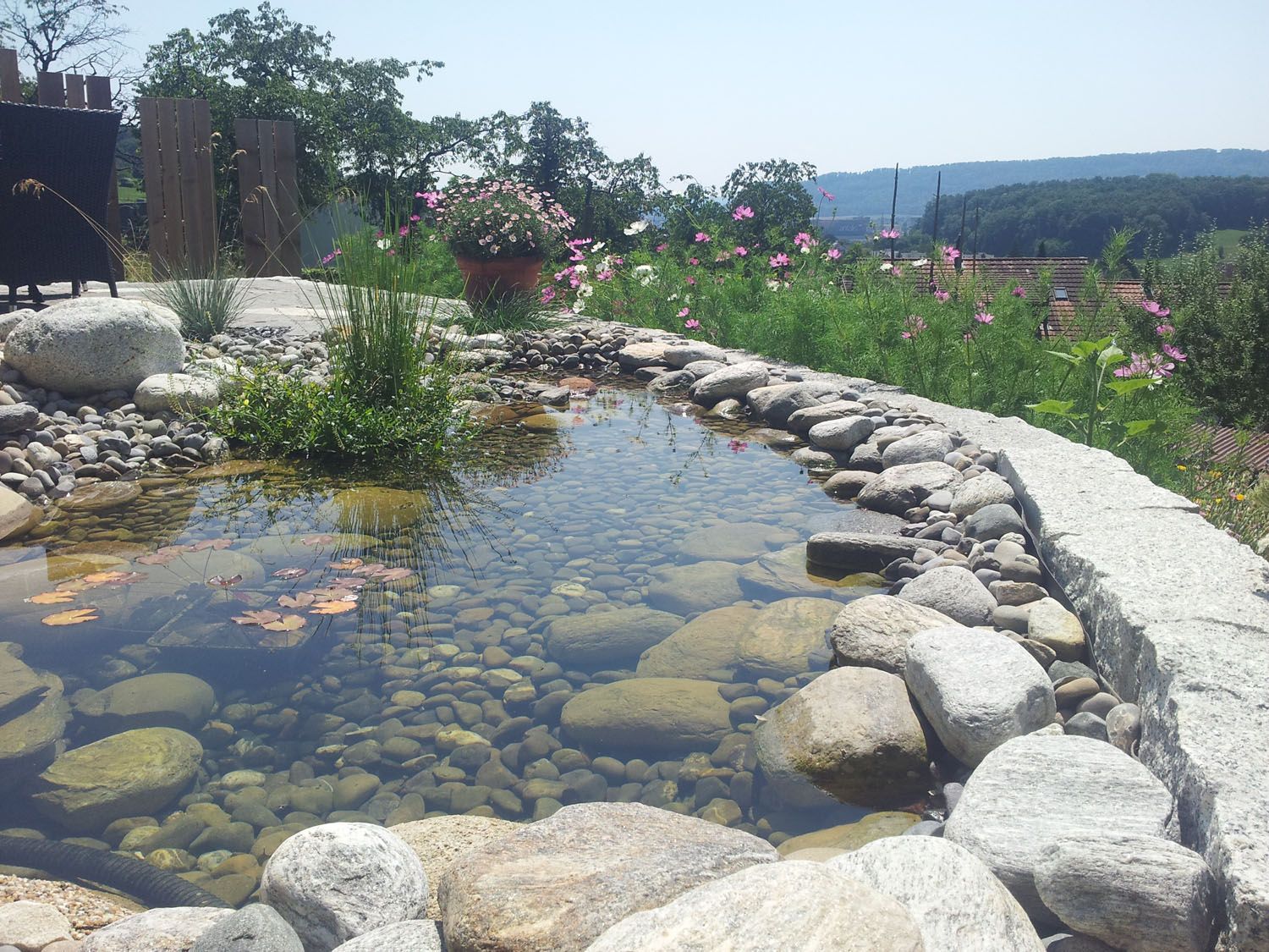 Biotop - Wüthrich Gartenbau in Hausen