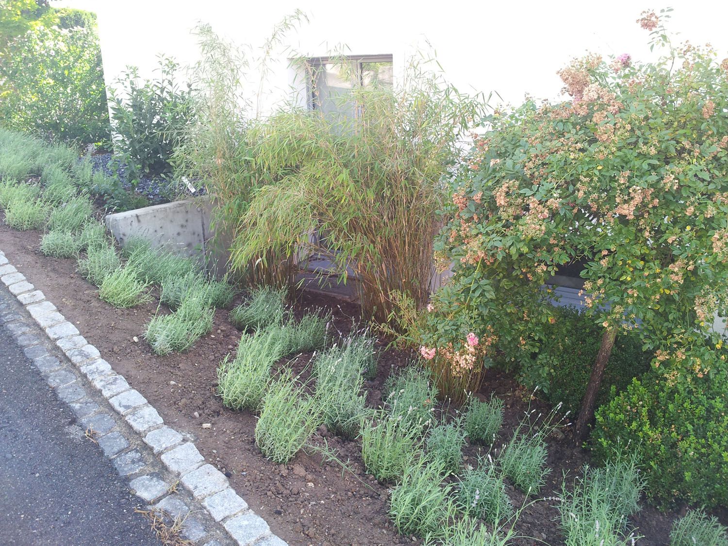 Saisonale Bepflanzungen - Wüthrich Gartenbau in Hausen