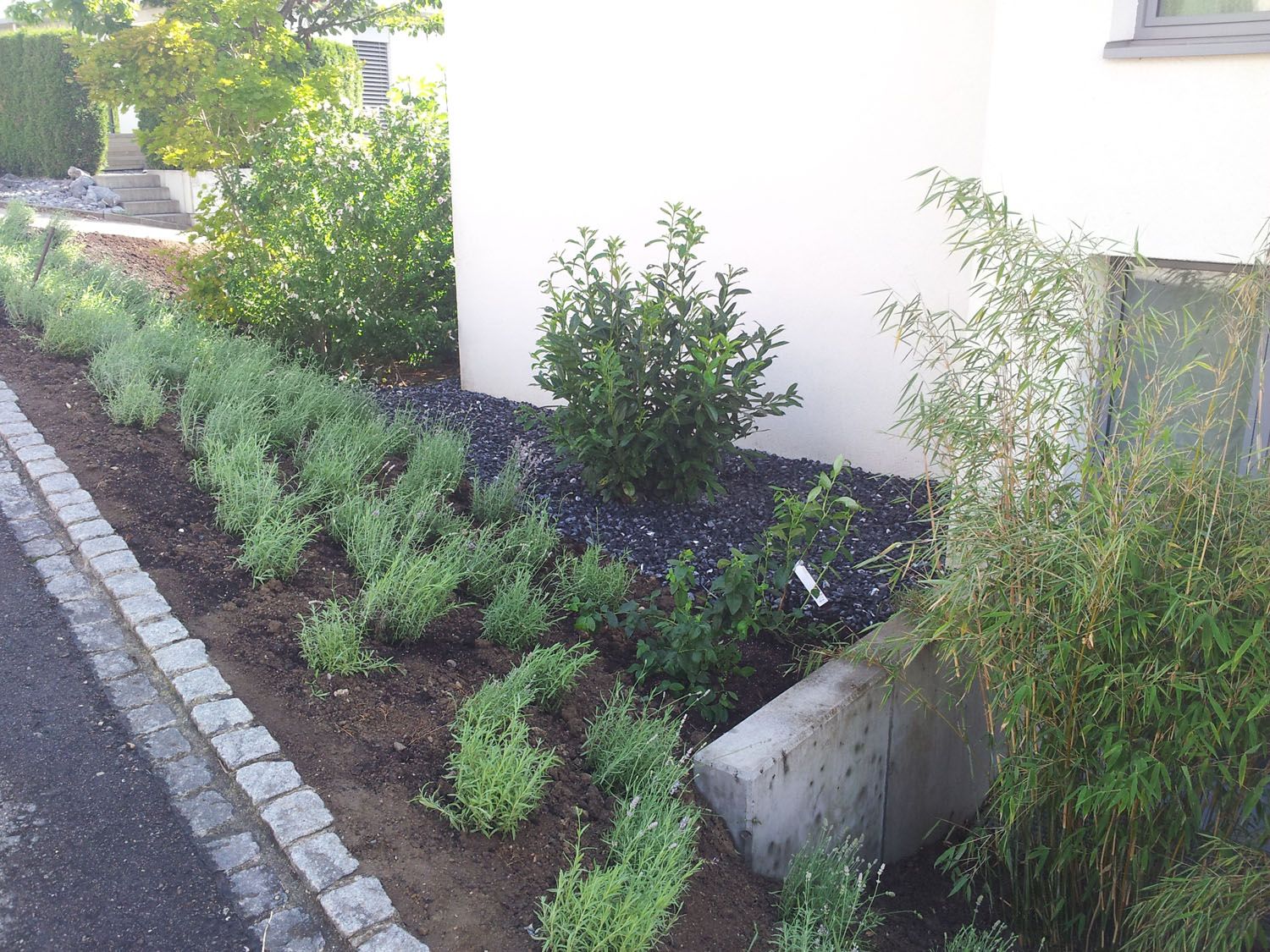 Saisonale Bepflanzungen - Wüthrich Gartenbau in Hausen