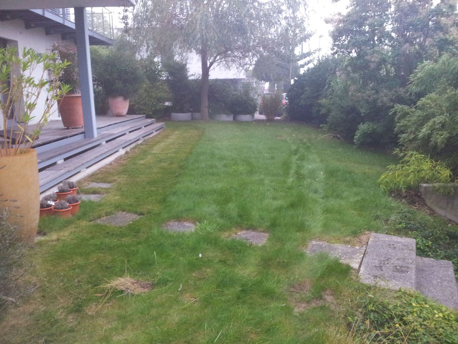 Rasenpflege - Wüthrich Gartenbau in Hausen