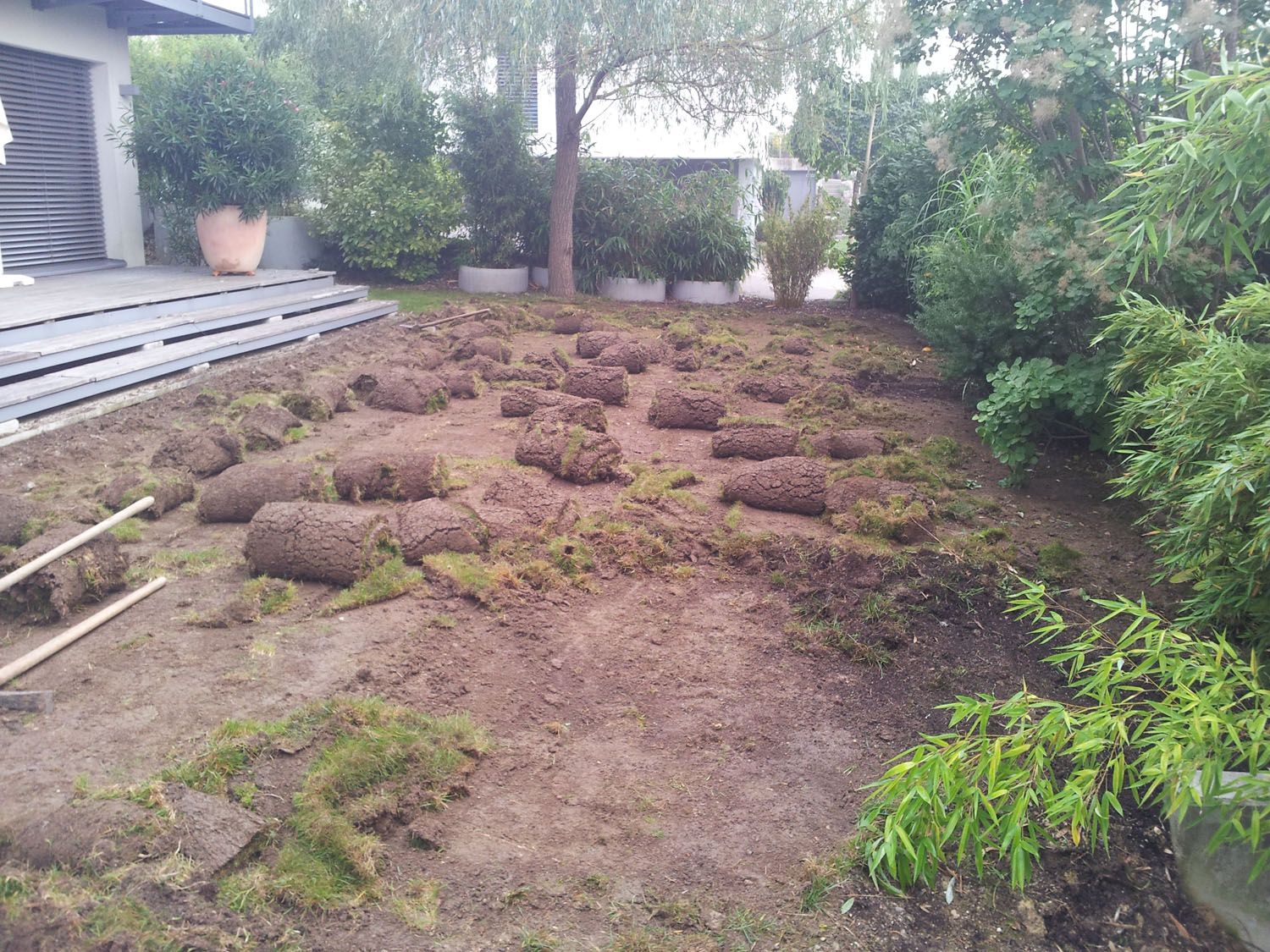 Rasenservice - Wüthrich Gartenbau in Hausen