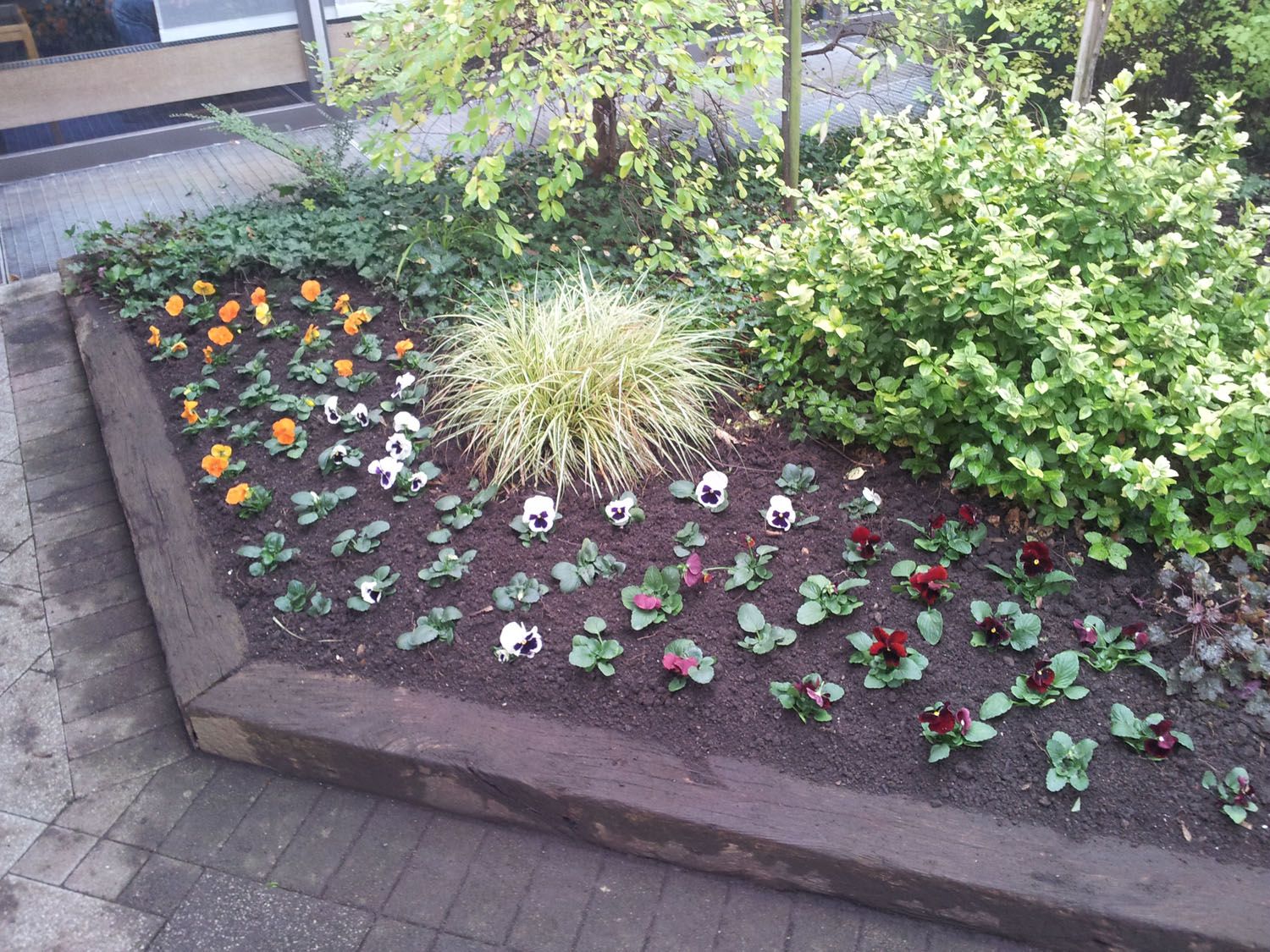 Bepflanzungen - Wüthrich Gartenbau in Hausen