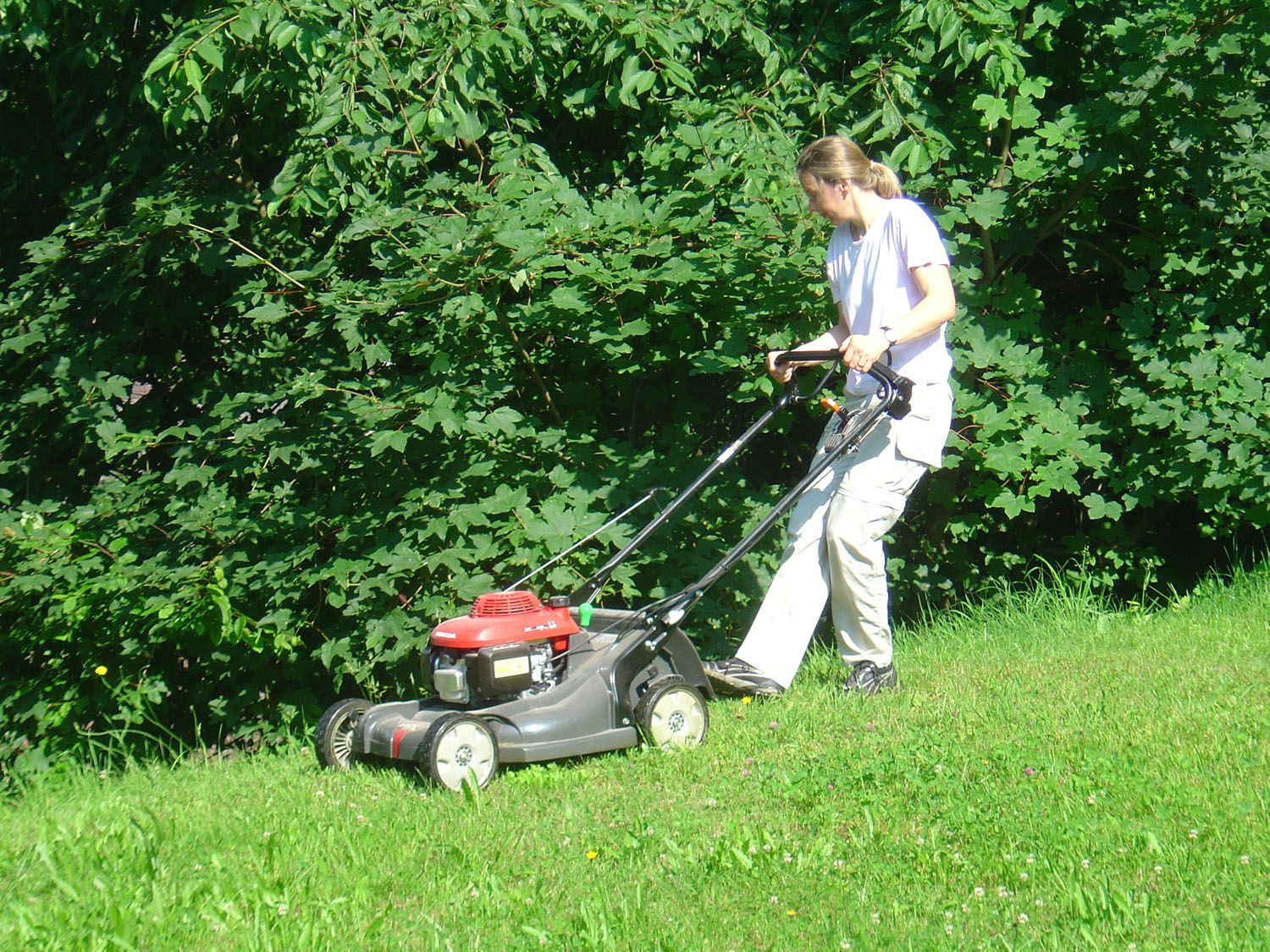 Rasenservice - Wüthrich Gartenbau in Hausen