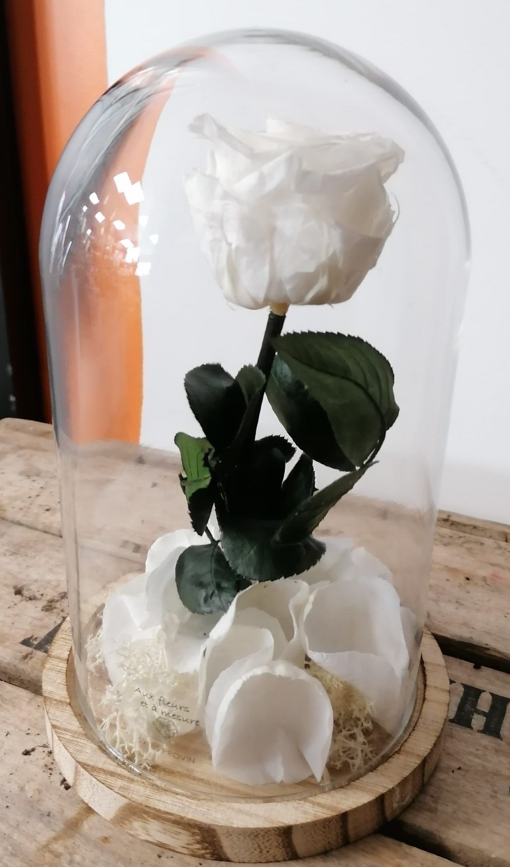 Rose éternelle façon