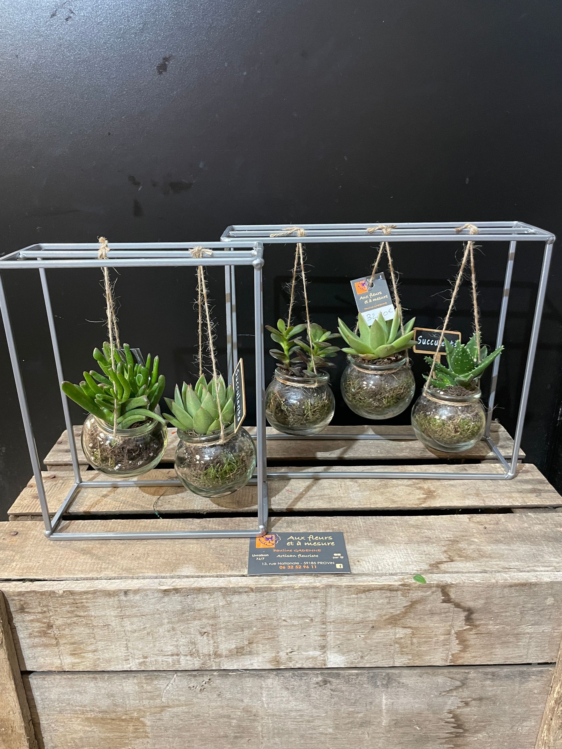 Suspension plantes grasses