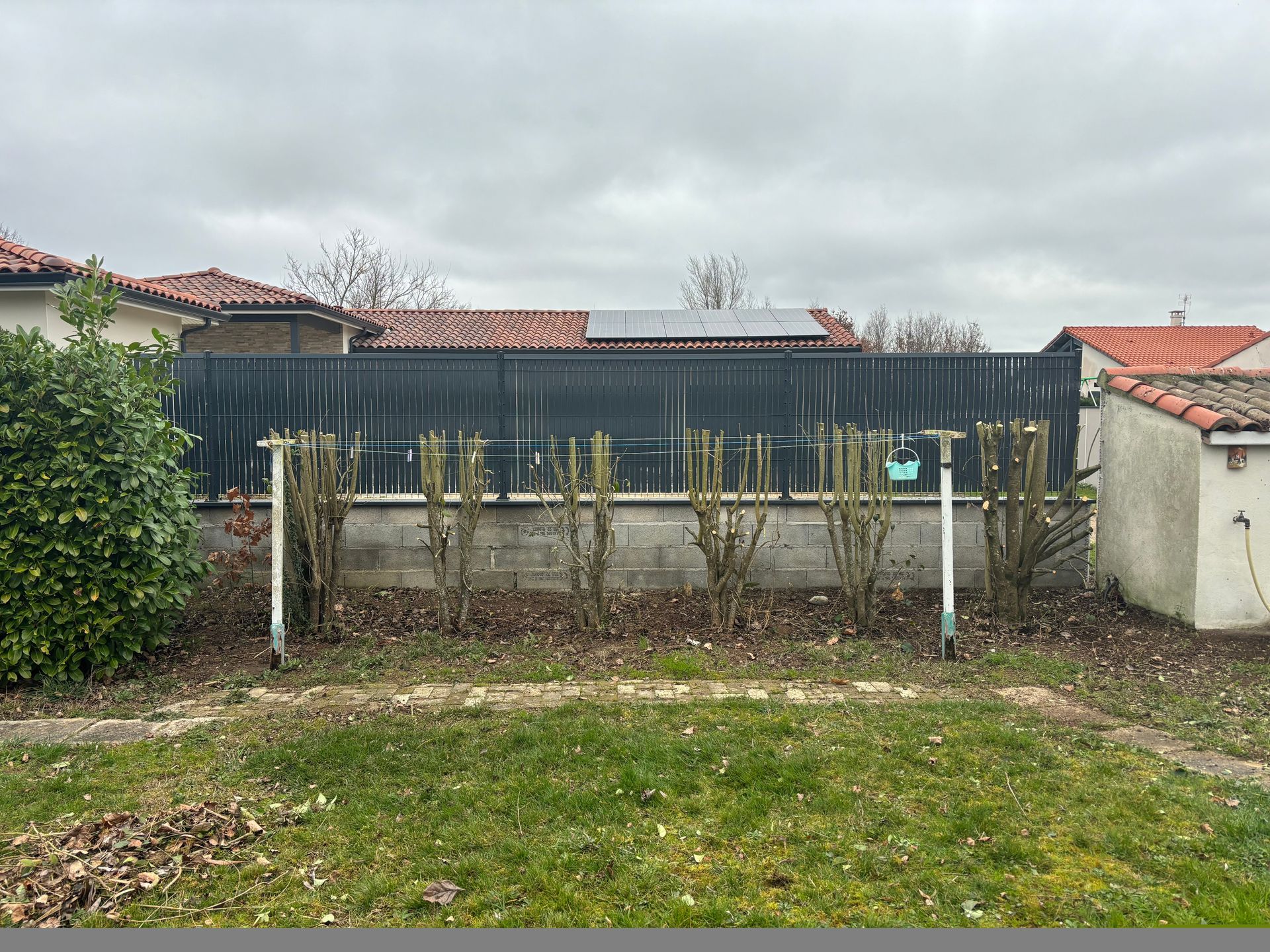 Jardin avant débroussaillage.