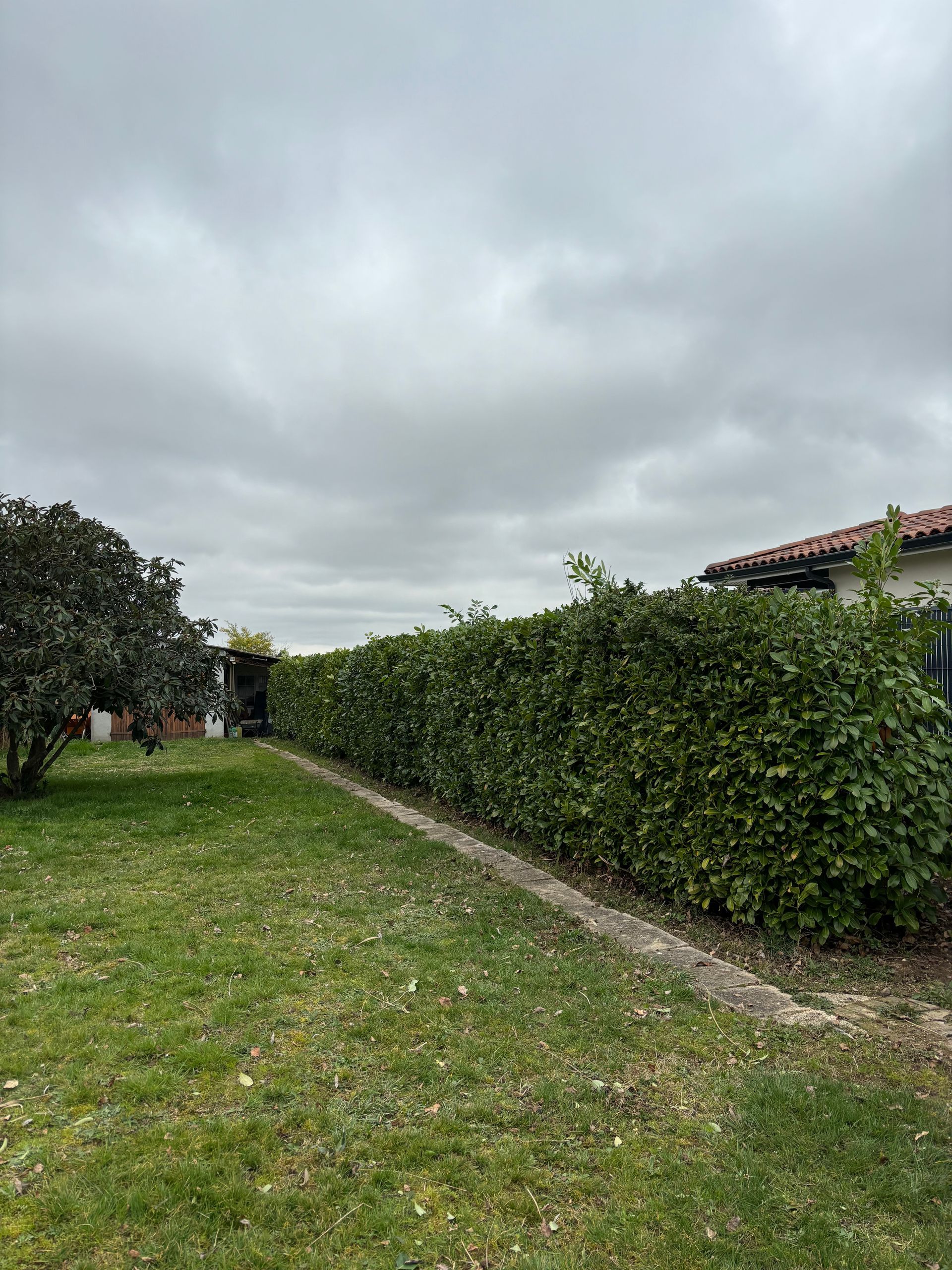 Haie avant entretien.