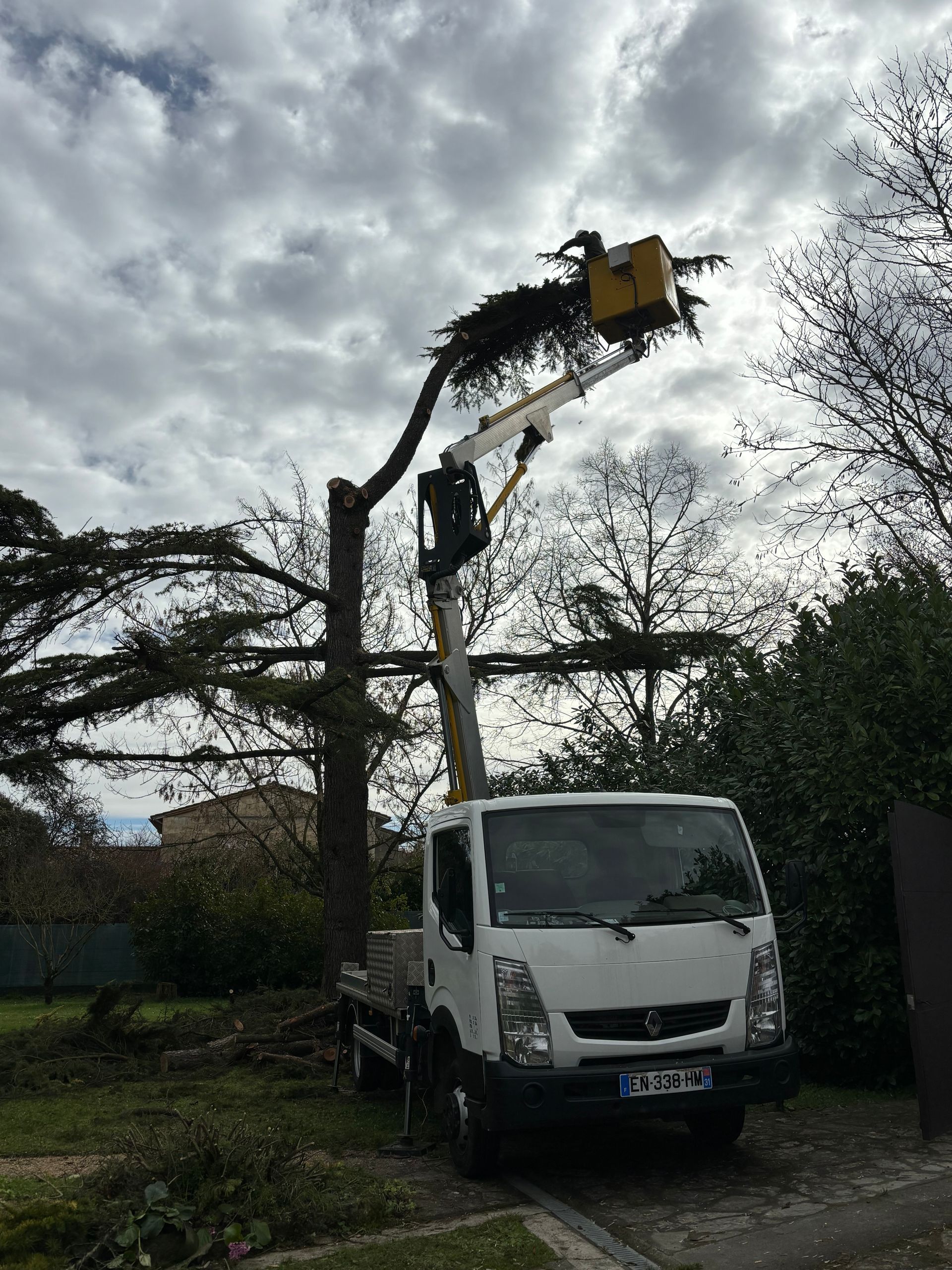 Démontage de l'arbre avec une nacelle.