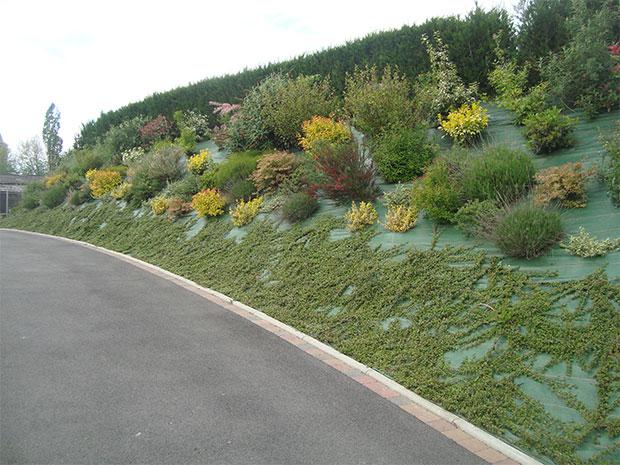 Création de jardins et d'espaces verts à Villereau
