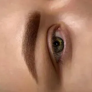 Un primer plano del ojo de una mujer con una ceja marrón.