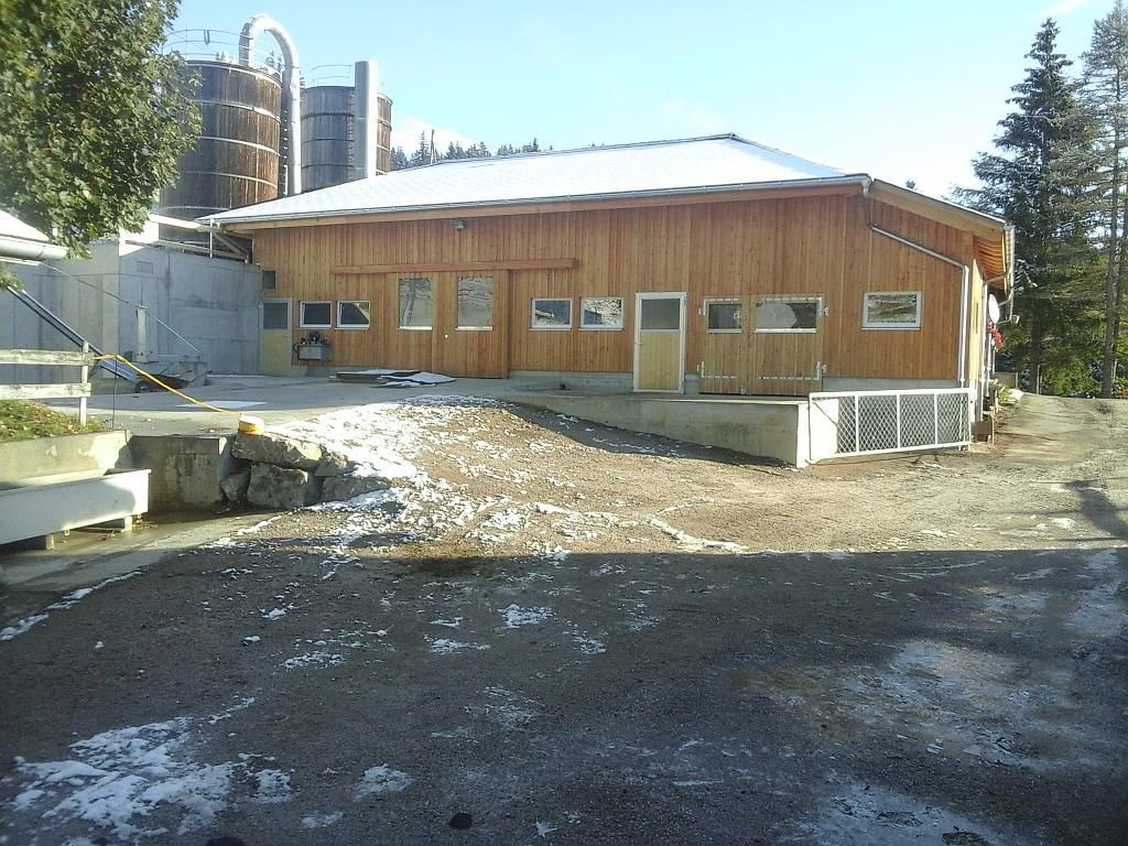 Stallumbau Brüchen nachher - Stoll Hoch- und Tiefbau in Milken