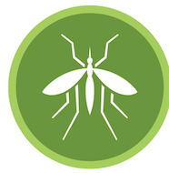 Ícone mosquito