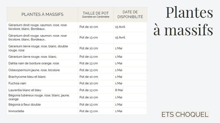 Plants à massifs de 