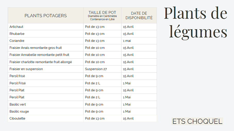 Plants de légumes de 
