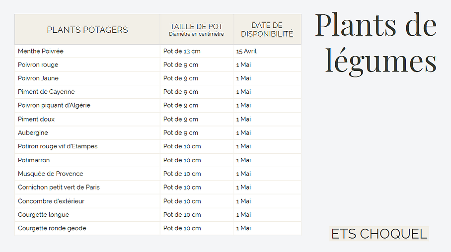 Plants de légumes de 