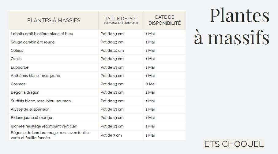 Plants à massifs de 