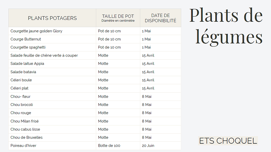 Plants de légumes de 