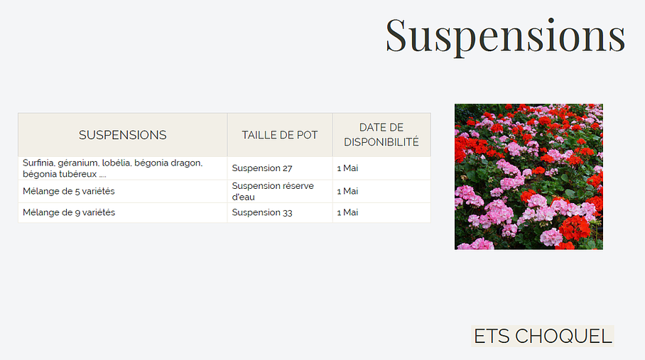Suspensions avec plusieurs mélange de variété de fleurs