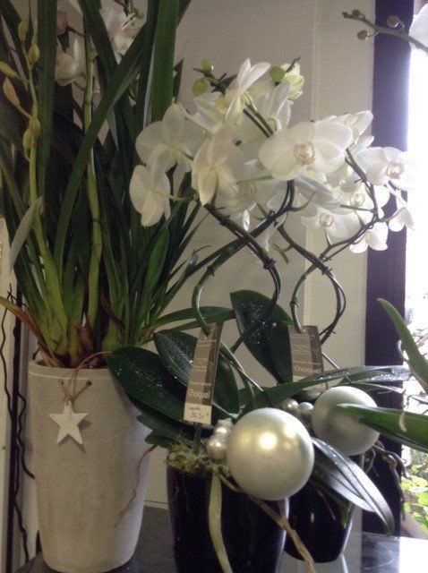 Bouquet avec une étoile