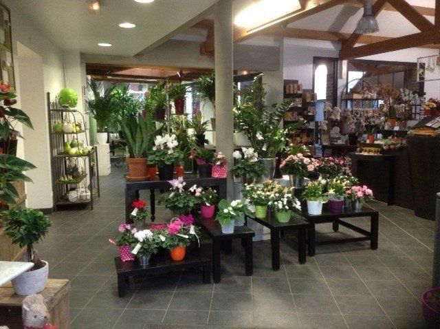 Plantes sur des tables