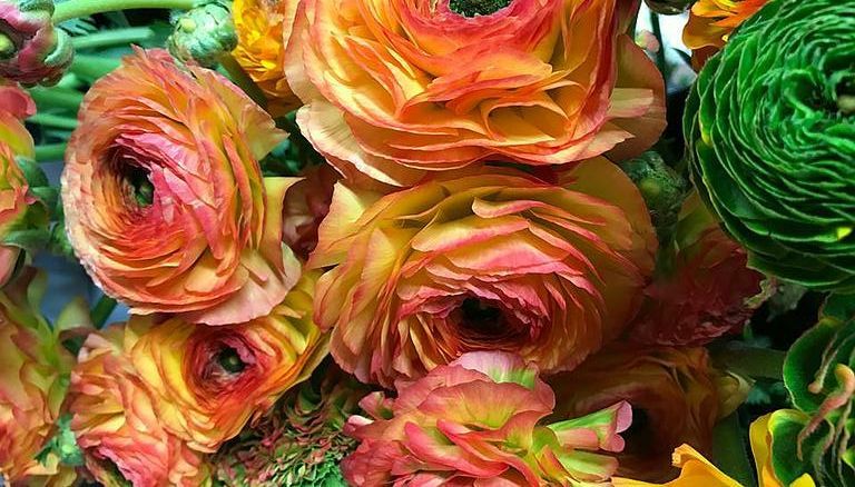 Bouquet de fleurs vertes et orange