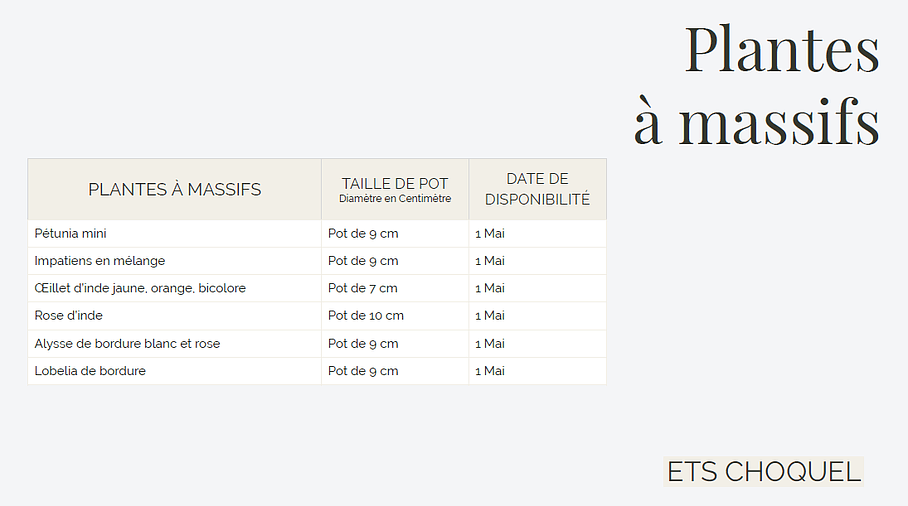 Plants à massifs de 
