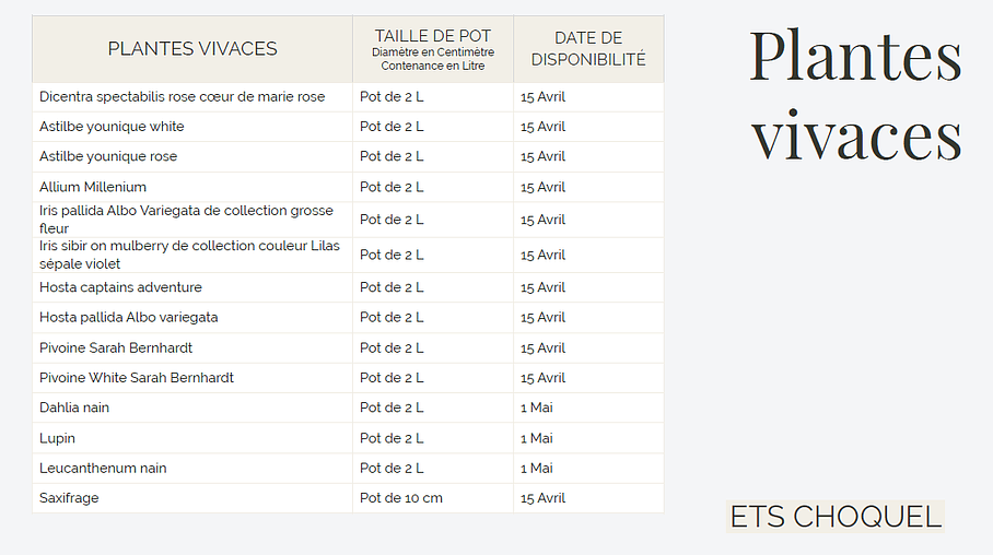 Plants de vivaces de 