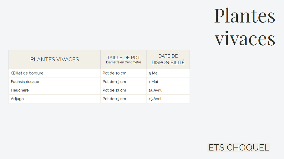 Plants de vivaces de 