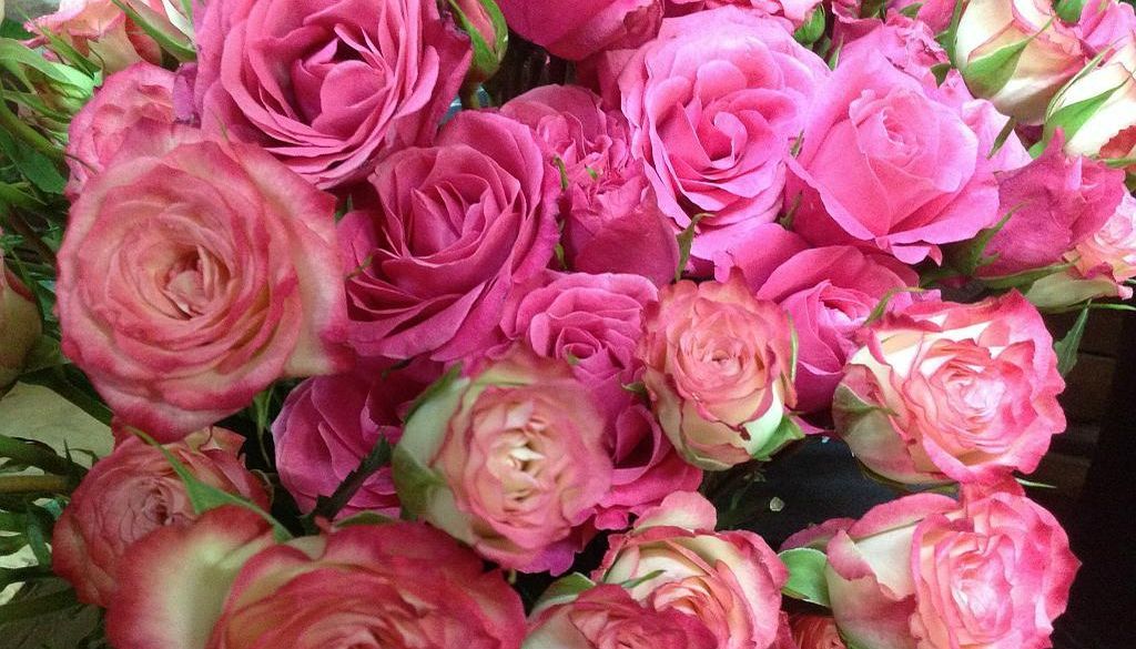 Grand bouquet de roses roses