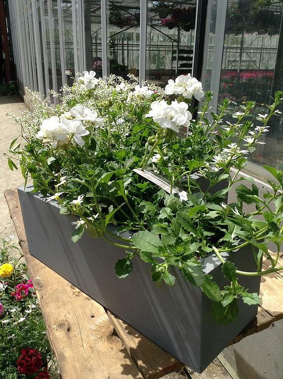 Jardinière à fleurs blanches