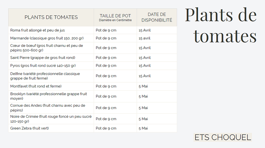 Plants de tomates de