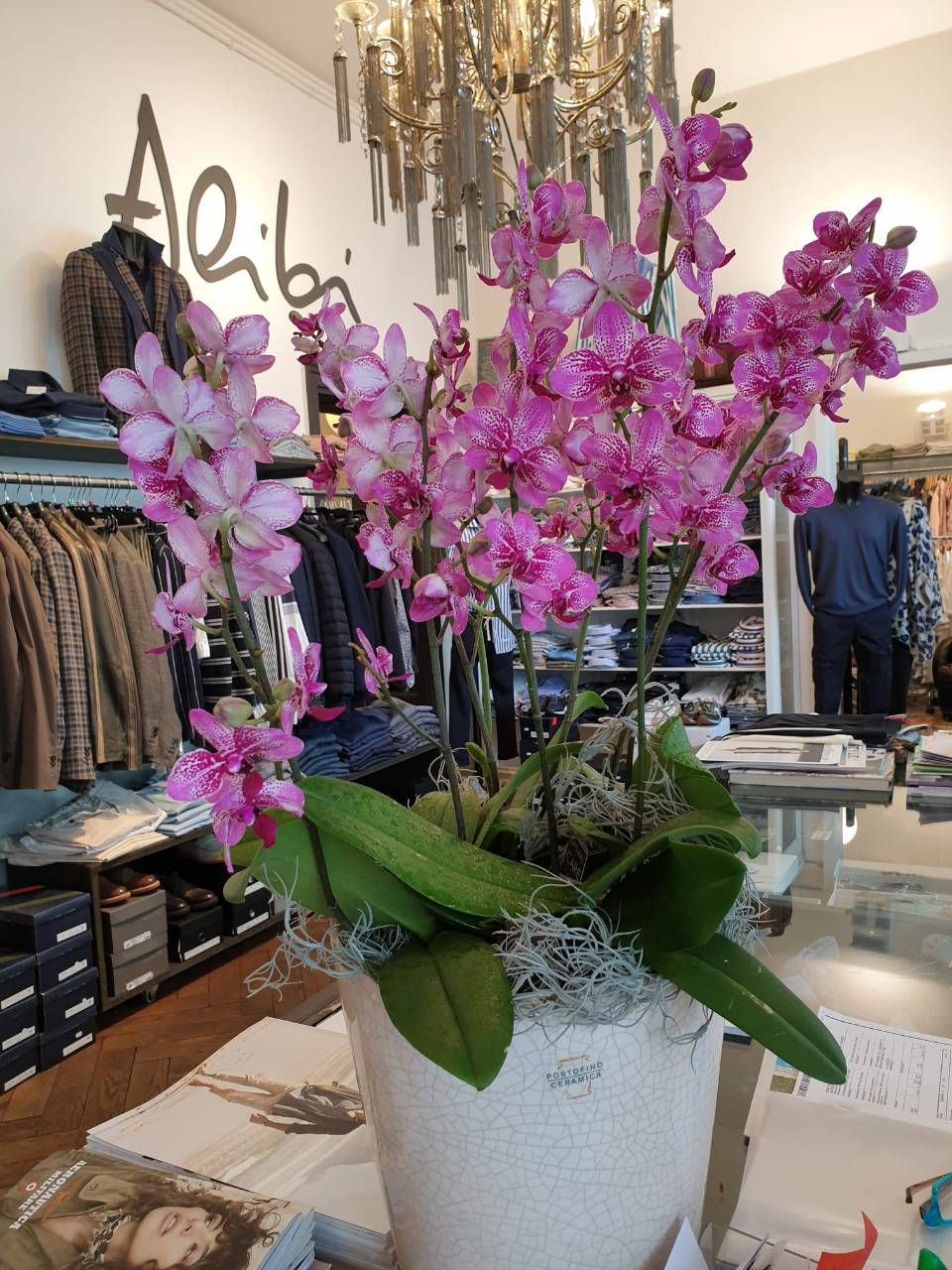 Rosa Orchideen in einem weissen Topf auf einem Tisch in einem Bekleidungsgeschäft, an dessen Wand das Wort „Alibi“ steht.