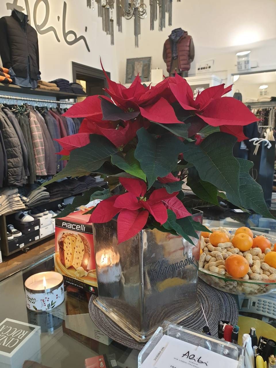 Weihnachtsstern im silbernen Topf auf der Ladentheke in einem Bekleidungsgeschäft, zusammen mit Jacken, Kerzen und Obst.