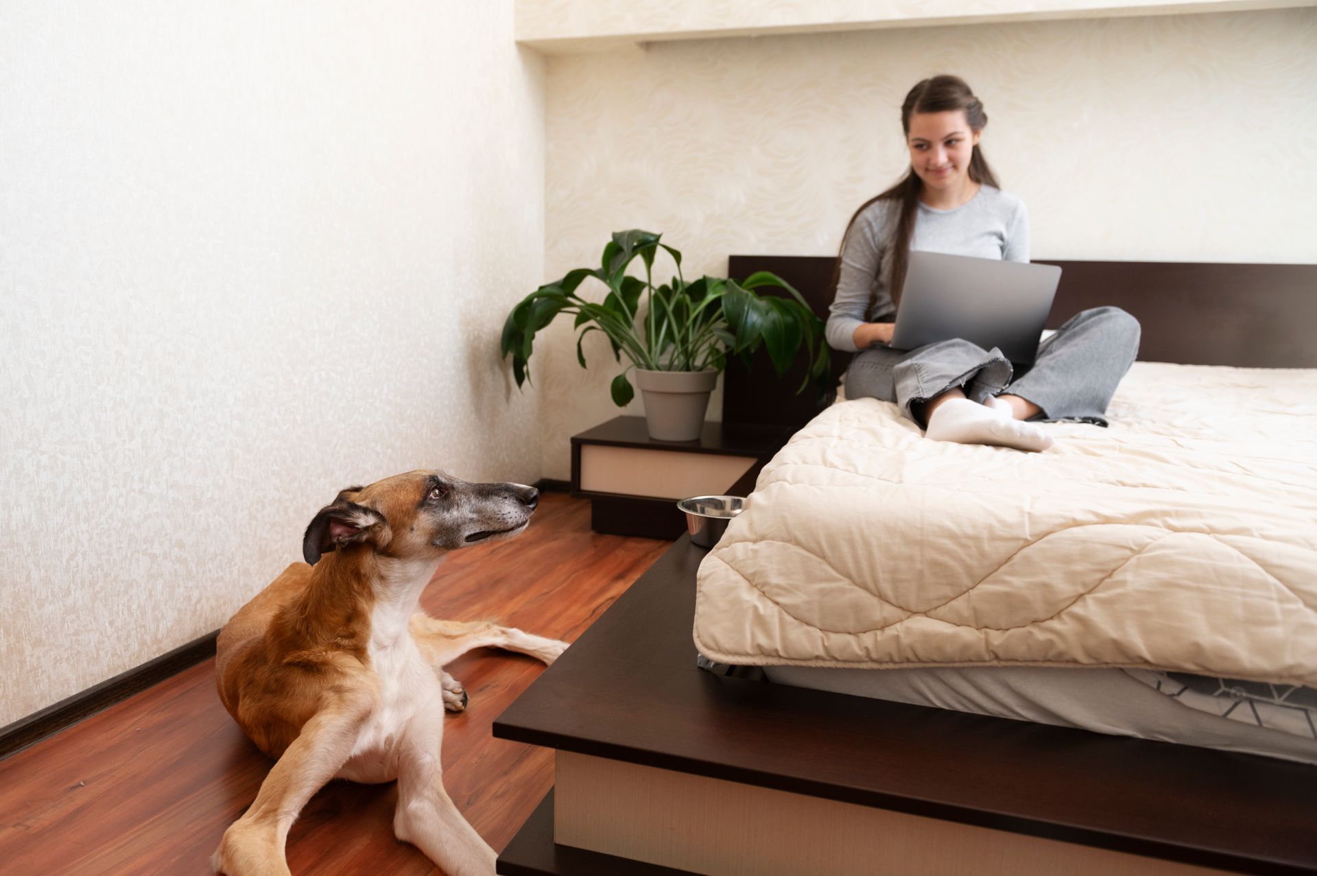 Pet-friendly vacation rentals