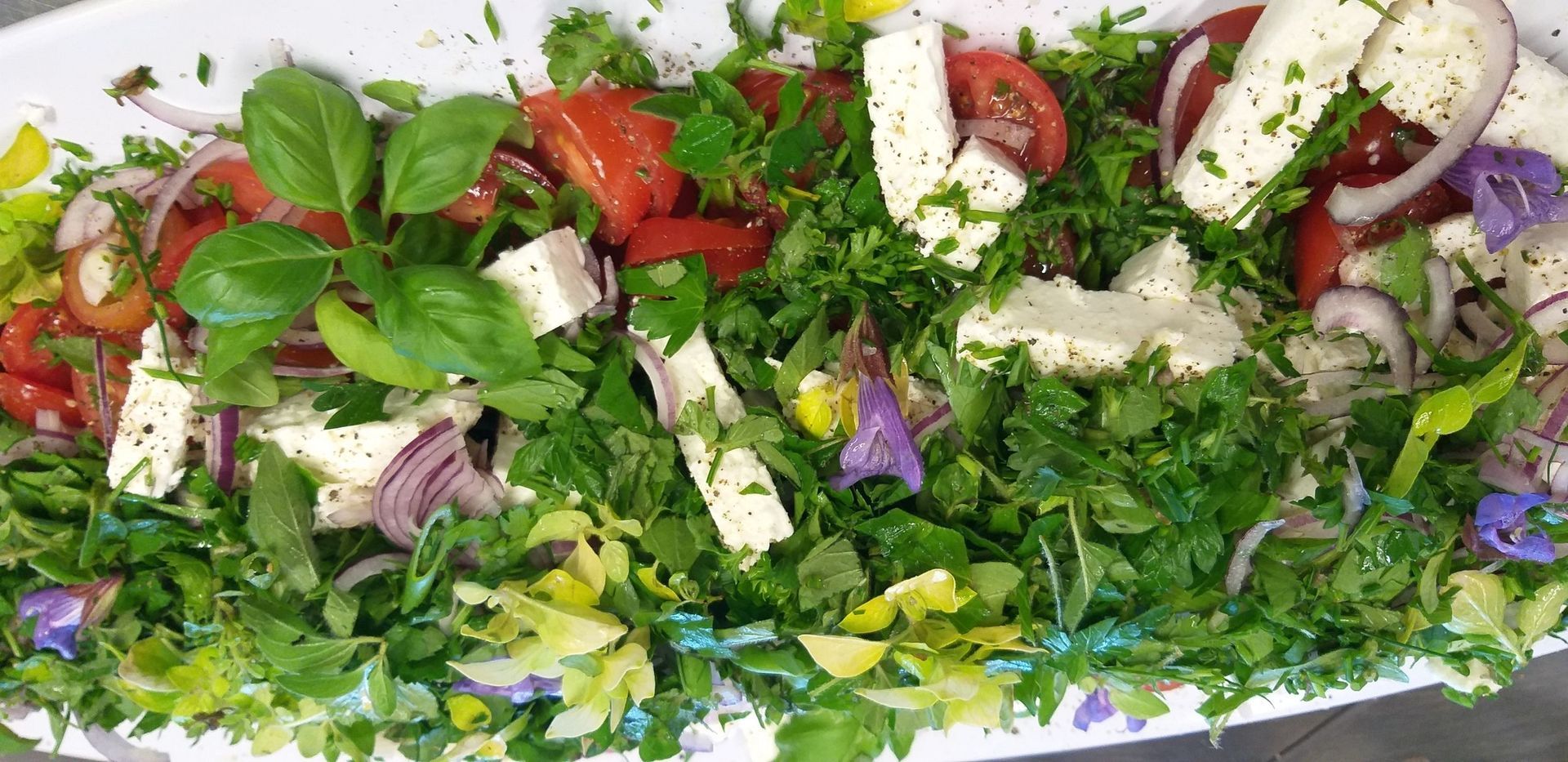 Ein weißer Teller mit einem Salat aus Gemüse und Käse.