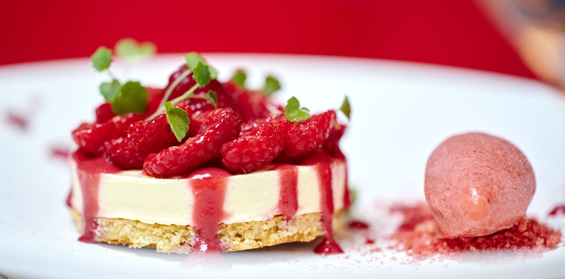 Ein weißer Teller mit einem Dessert aus Himbeeren und einer Kugel Eis.