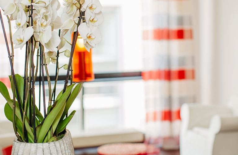 Blumen im Wartebereich der Hautarztpraxis