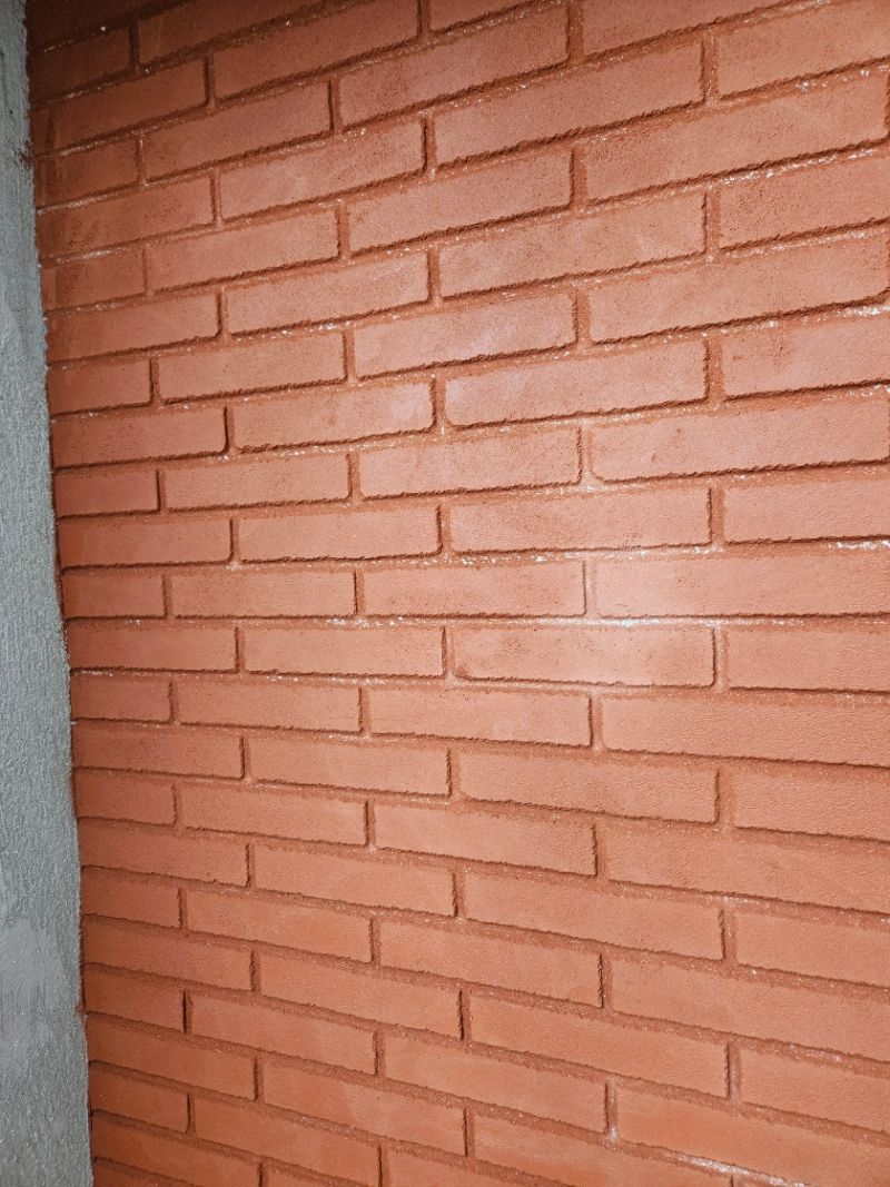 Pan de mur en briques foraines