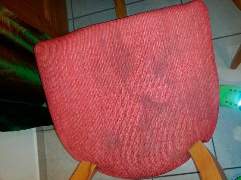 Manfred Götz Teppich & Polster Reinigung, Bubenreuth | Willkommen bei Manfred Götz Teppich & Polster Reinigung in Bubenreuth