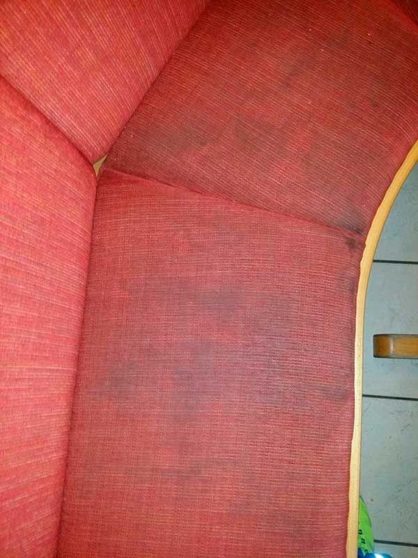 Manfred Götz Teppich & Polster Reinigung, Bubenreuth | Willkommen bei Manfred Götz Teppich & Polster Reinigung in Bubenreuth