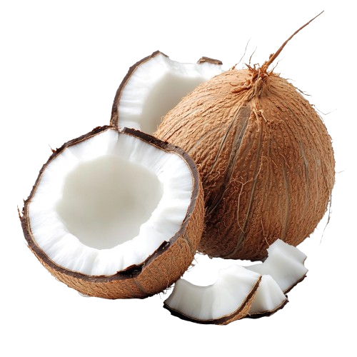 Coco com pedaços de casca rachada, mostrando a polpa branca e a película marrom.