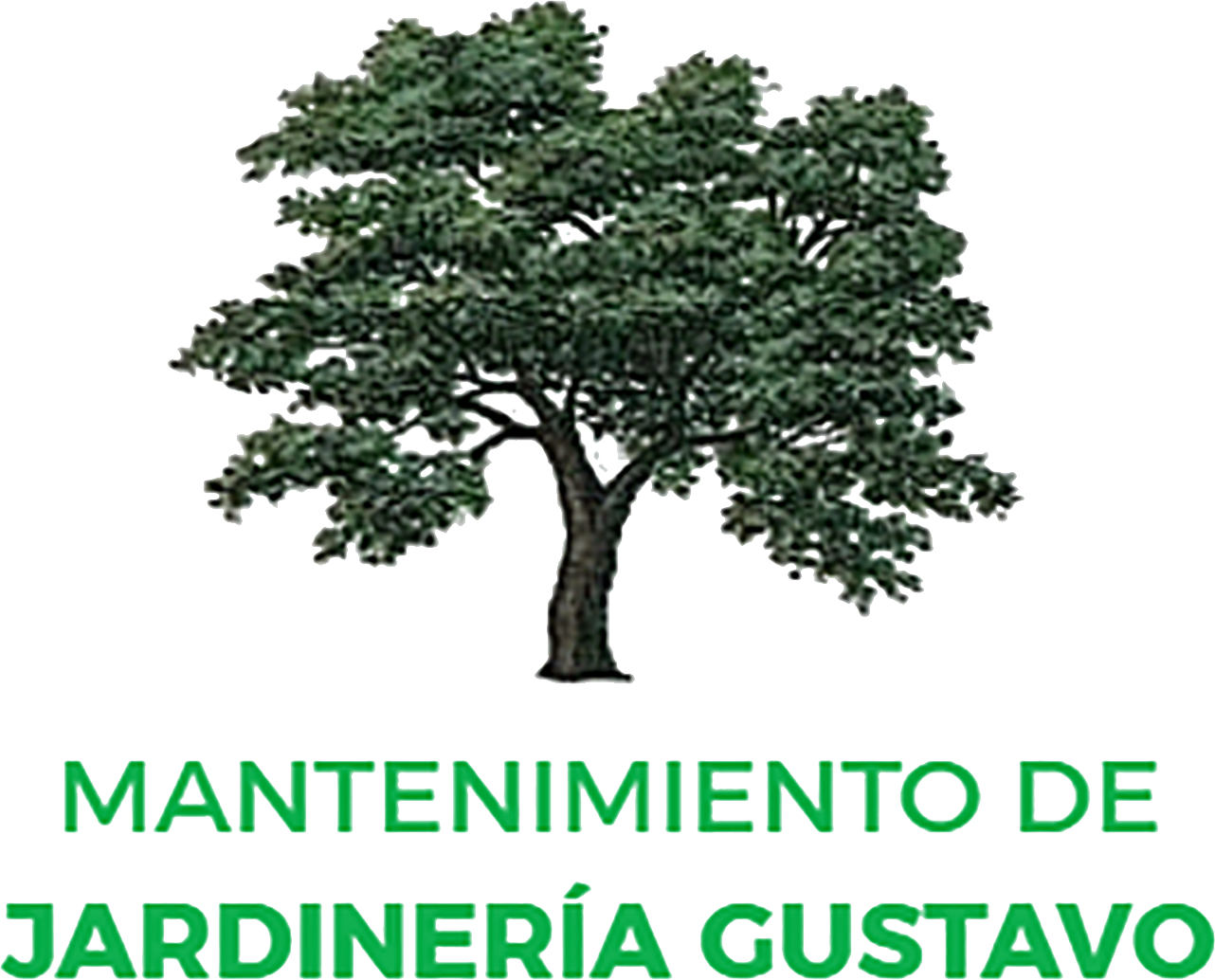 imagen cabecera