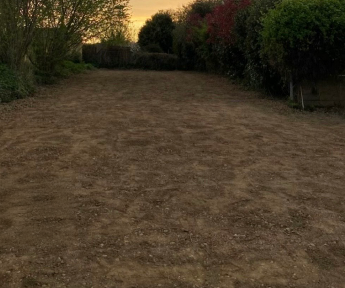 Un chemin de terre avec des arbres en arrière-plan et un coucher de soleil en arrière-plan.
