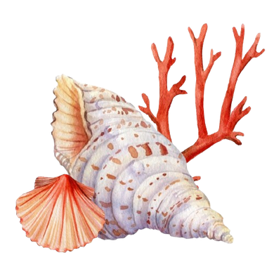 Illustration à l'aquarelle de coquillages et de corail rouge.